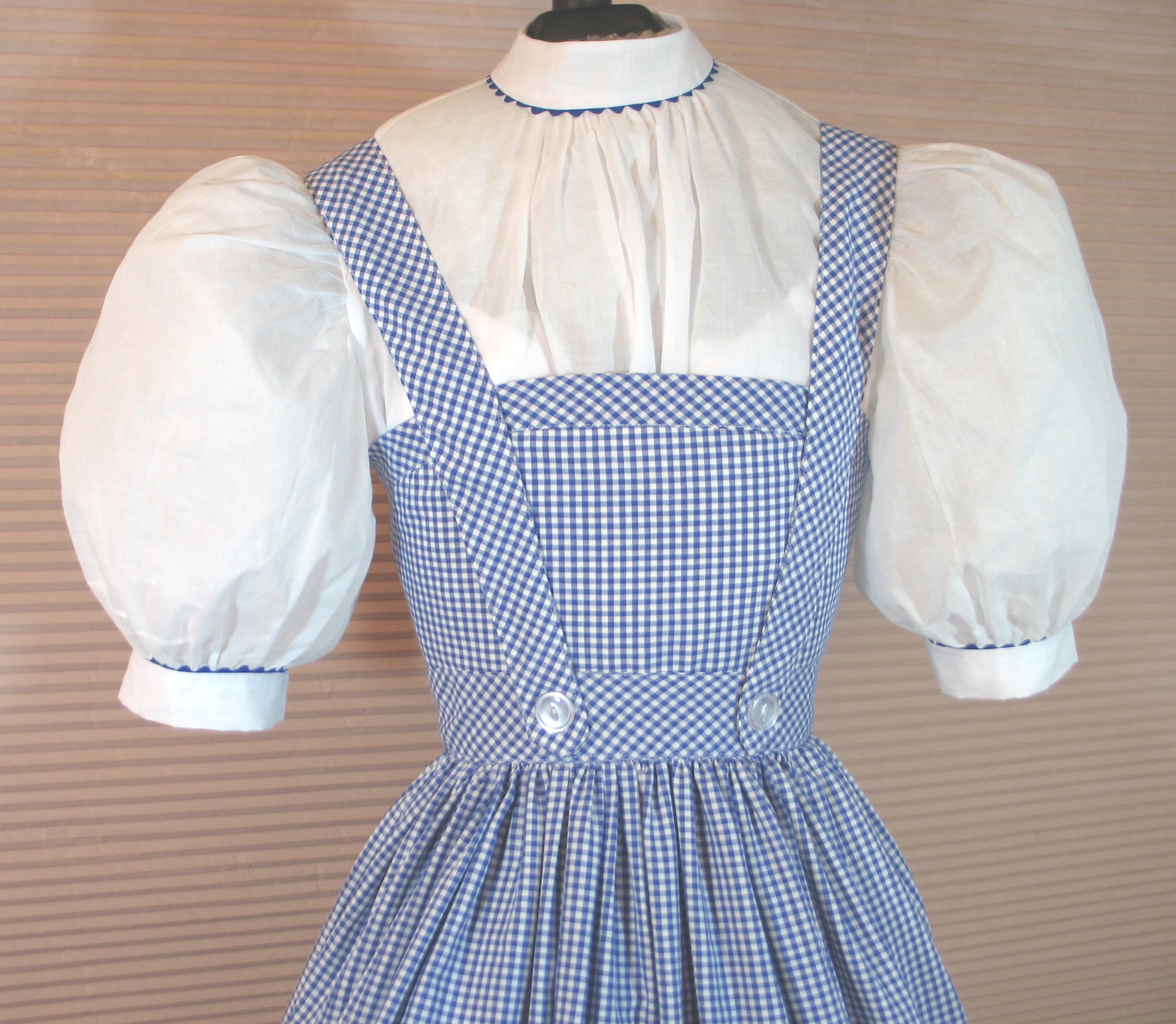 Blue gingham 2025 overall dress